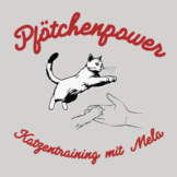 Pfötchenpower-Katzentraining